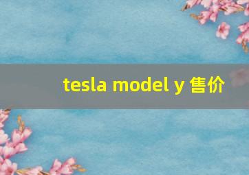 tesla model y 售价